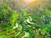 Для въезда в Индонезию с 1 сентября туристы обязаны заполнять декларацию