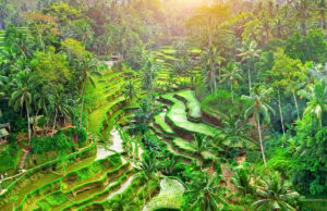 Для въезда в Индонезию с 1 сентября туристы обязаны заполнять декларацию