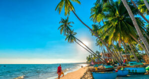 Россия и Вьетнам договариваются о безвизовом режиме для тургрупп