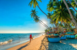 Россия и Вьетнам договариваются о безвизовом режиме для тургрупп