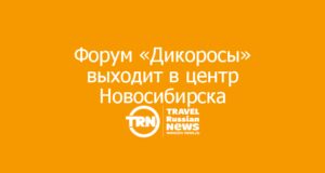 Форум «Дикоросы» выходит в центр Новосибирска: открытое пространство и масштабная деловая программа