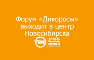 Форум «Дикоросы» выходит в центр Новосибирска: открытое пространство и масштабная деловая программа