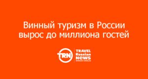 Винный туризм в России вырос до миллиона гостей