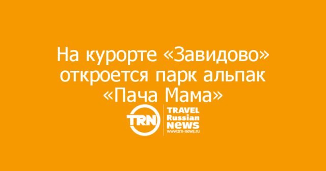 На курорте «Завидово» откроется парк альпак «Пача Мама»